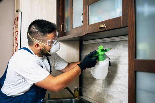 Insect Control in Carlinville, IL