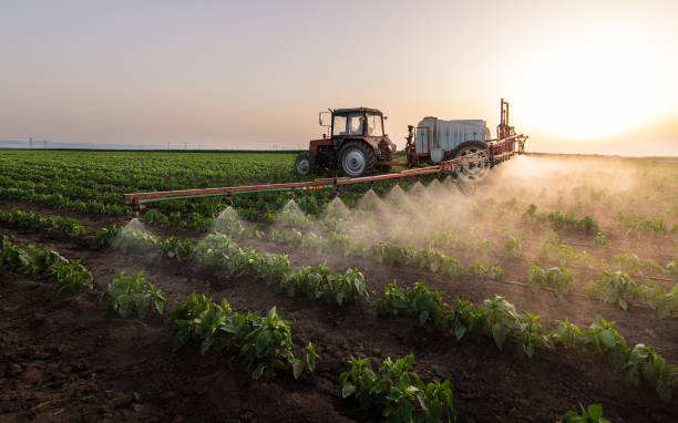 Best Commercial Pest Control Services  in Carlinvle, IL