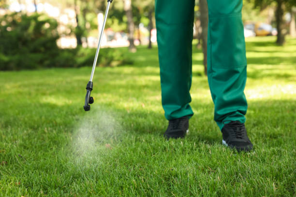 Best Termite Control Services  in Carlinvle, IL