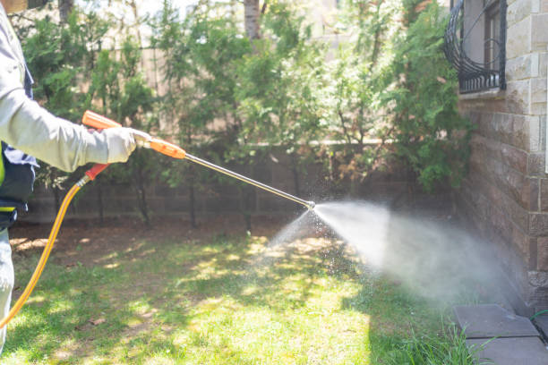 Best Emergency Pest Control  in Carlinvle, IL