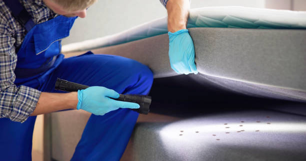 Best Exterminator Services  in Carlinvle, IL