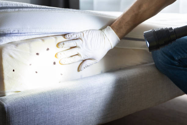 Best Pest Control Cost  in Carlinvle, IL