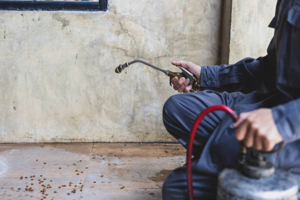 Best Best Pest Control Companies  in Carlinvle, IL